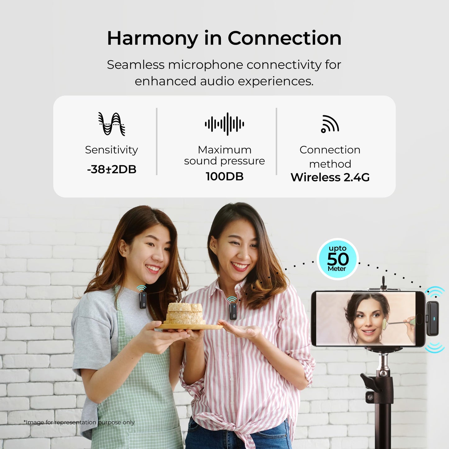 Digitek® DWM 101 Wireless Microphone